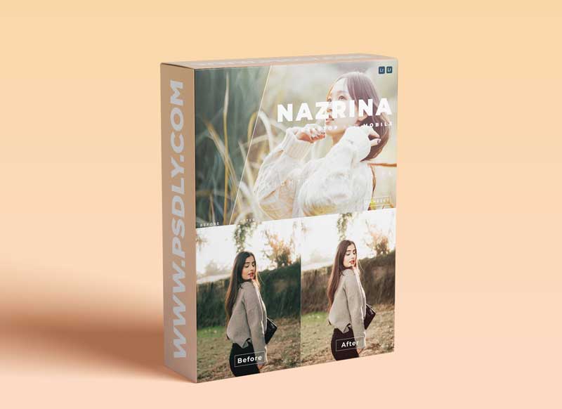 Nazrina Desktop and Mobile Lightroom Preset