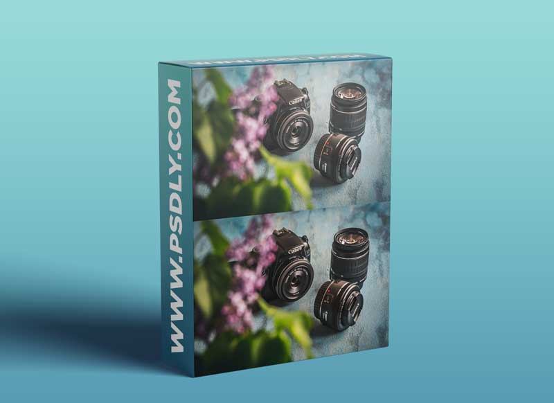 Photo Essentials: Best Camera and Lenses for Food and Still Life Photography