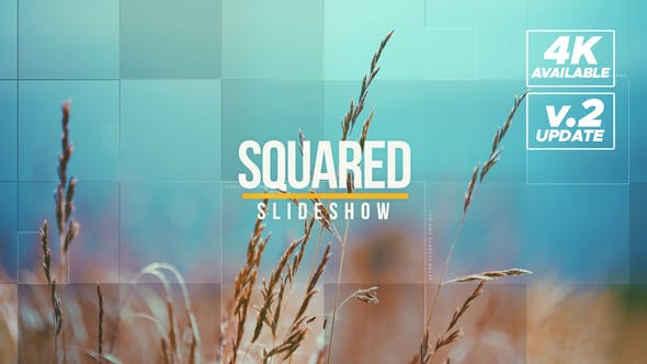 Videohive Squared Intro 21127349