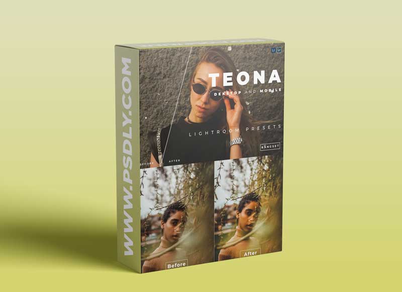 Teona Desktop and Mobile Lightroom Preset