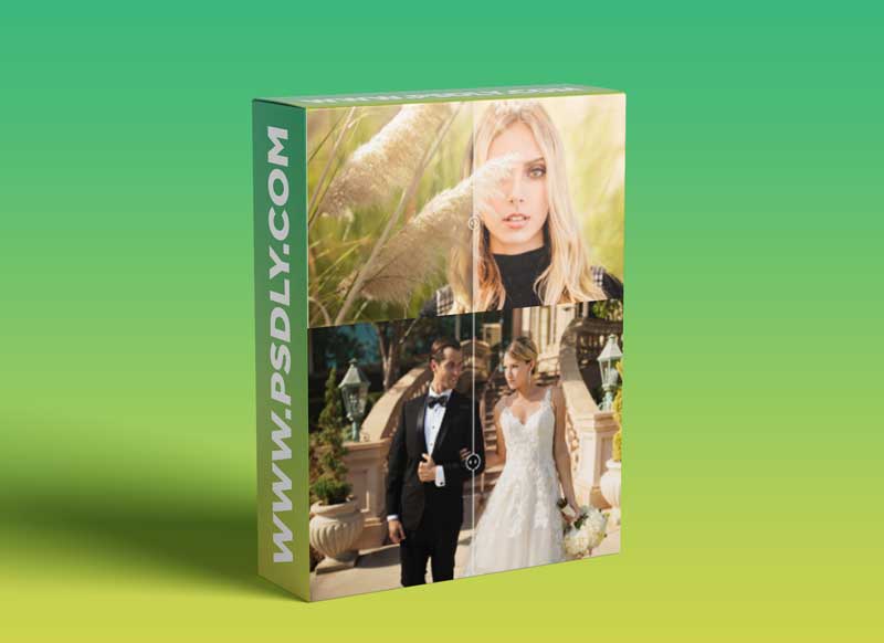 Visual Flow Modern Preset Pack