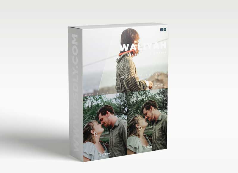 Waliyah Desktop and Mobile Lightroom Preset