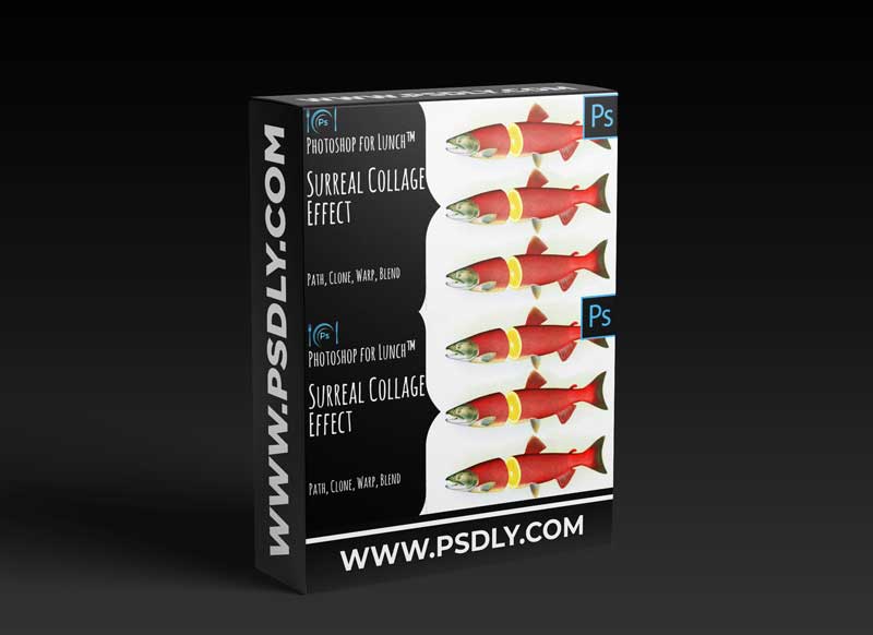 Photoshop for Lunch™ – Surreal Collage Effect – Paths Cloning Warp Blend with Helen Bradley