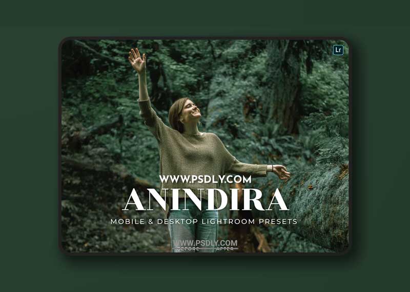 Anindira Mobile and Desktop Lightroom Presets