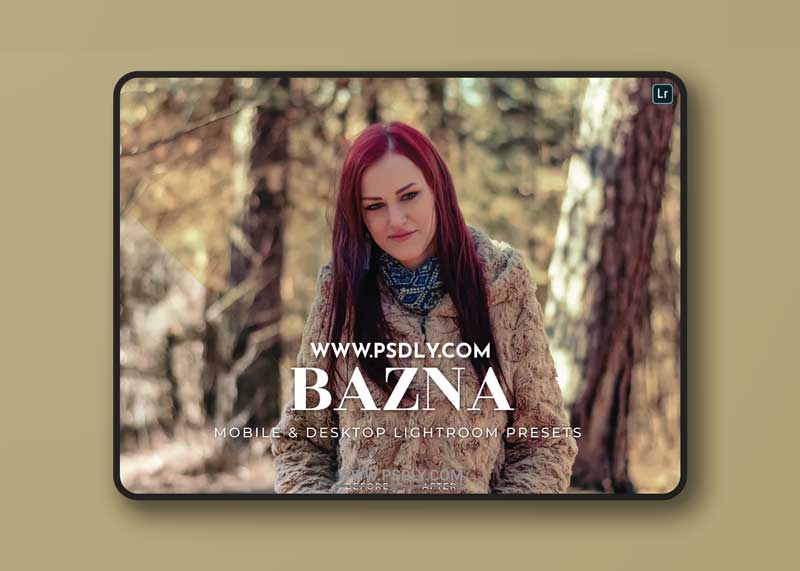 Bazna Mobile and Desktop Lightroom Presets