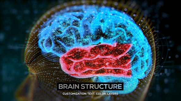 Videohive Brain Structure (4-pack) 24089741