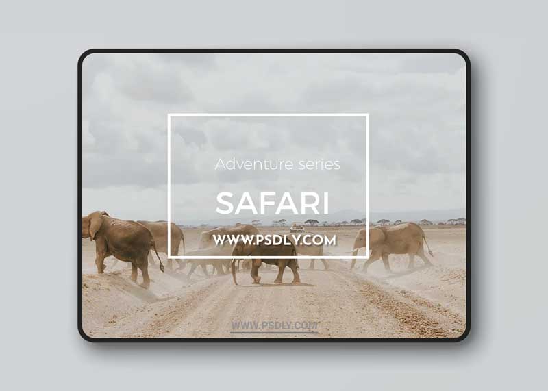 CM - Adventure Series: Safari LR Preset 1618362