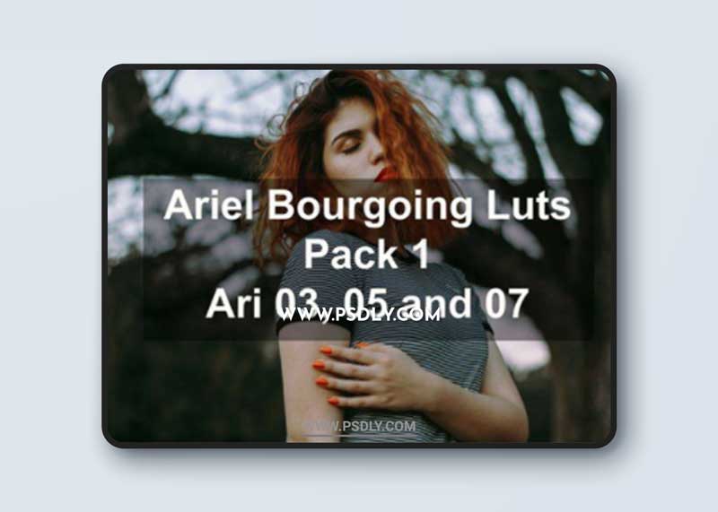 CM - Ariel Bourgoing Luts Pack 1994632