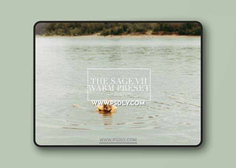 CM - Moody Film Lightroom Presets 1686561