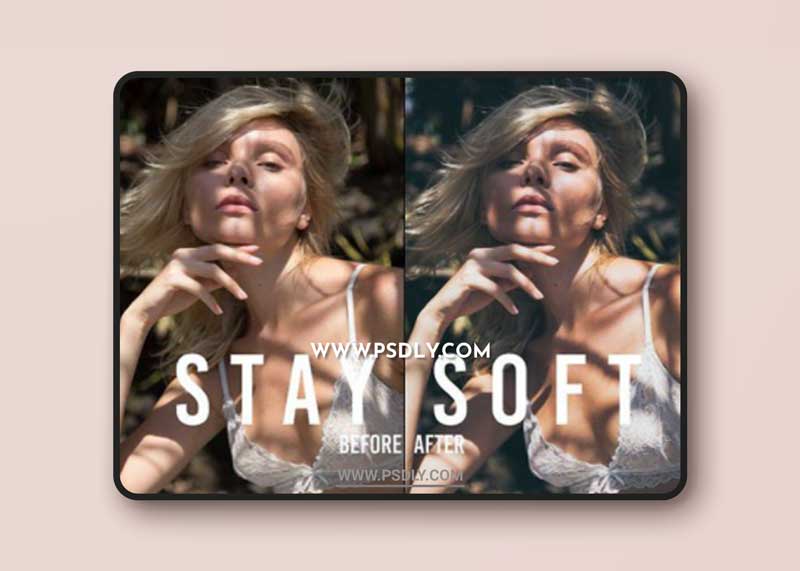 CM - Stay Soft // Lifestyle LR Presets 1654138