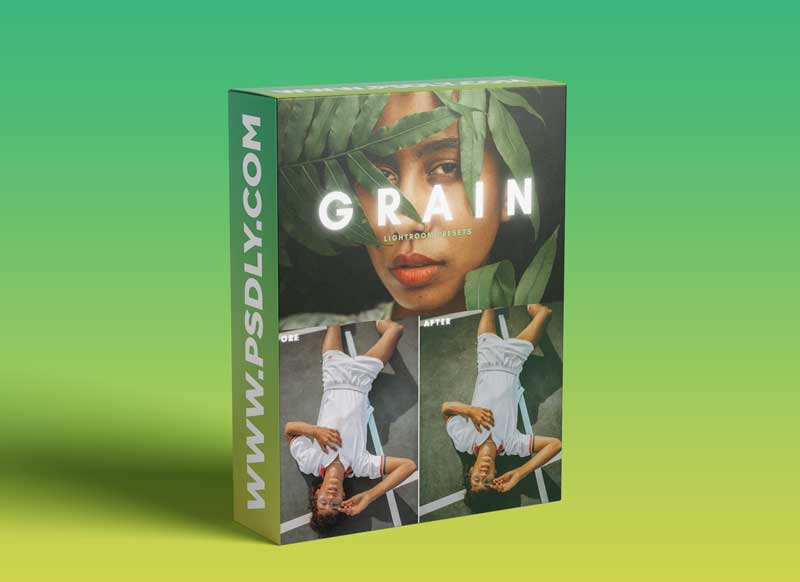 CreativeMarket - Grain Film Lightroom Presets 6051622