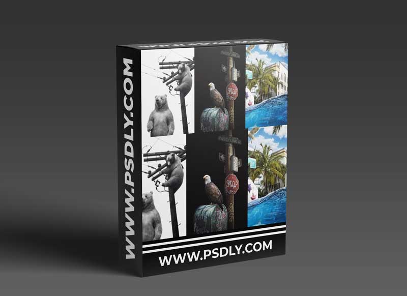 Domestika - Digital Collage in Photoshop: Composition and Visual Effects