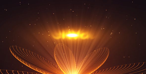 Videohive Flower Logo Reveal 19353802