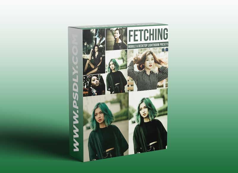 Fetching Mobile and Desktop Lightroom Presets