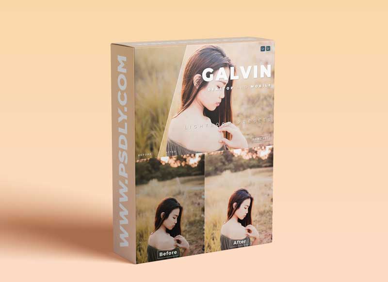 Galvin Desktop and Mobile Lightroom Preset