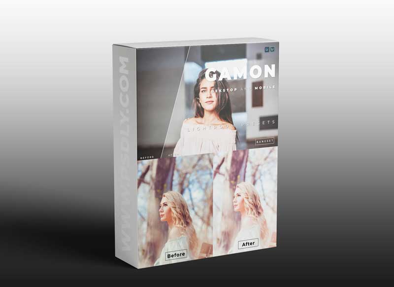 Gamon Desktop and Mobile Lightroom Preset
