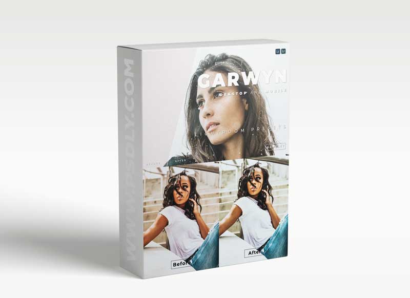 Garwyn Desktop and Mobile Lightroom Preset