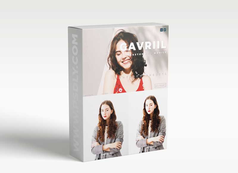 Gavriil Desktop and Mobile Lightroom Preset