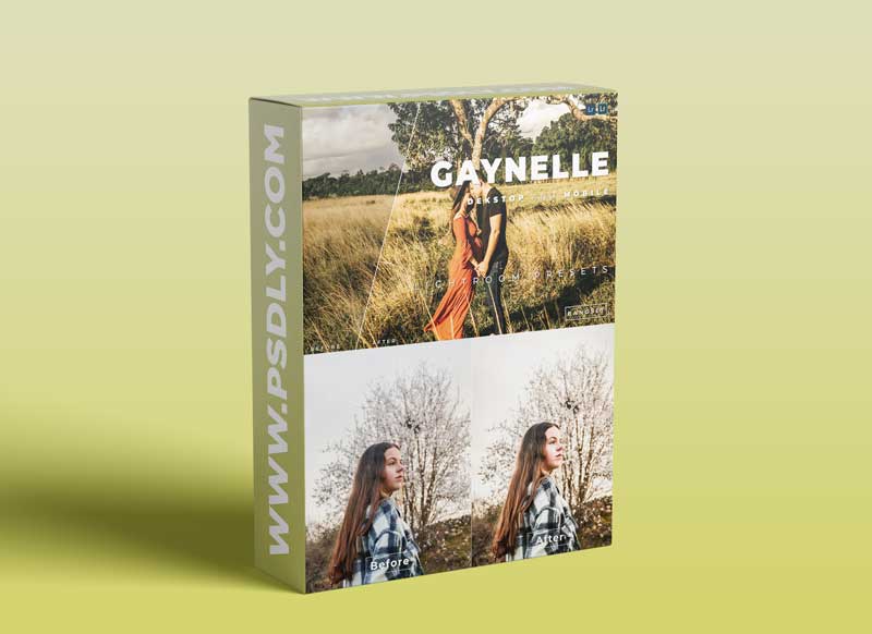 Gaynelle Desktop and Mobile Lightroom Preset