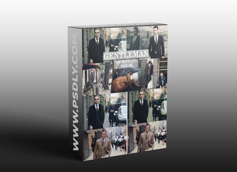 Gentlemen Cinematic LUTs Pack #2