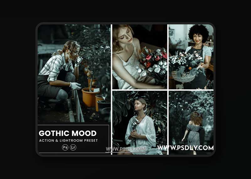 Gothic Mood Photoshop Action & Lightrom Presets