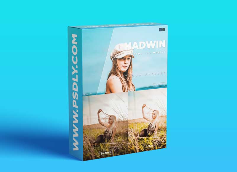 Hadwin Desktop and Mobile Lightroom Preset