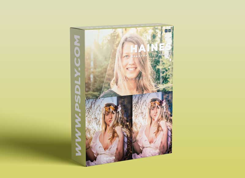 Haines Desktop and Mobile Lightroom Preset