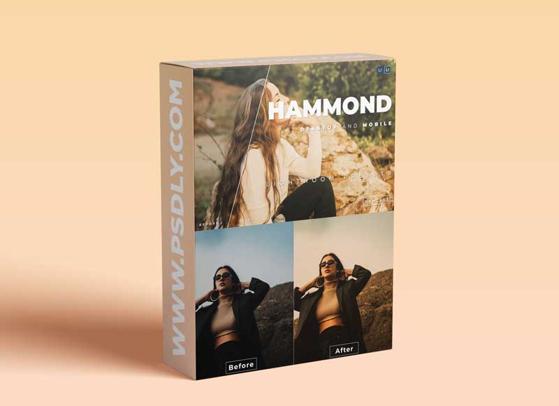 Hammond Desktop and Mobile Lightroom Preset