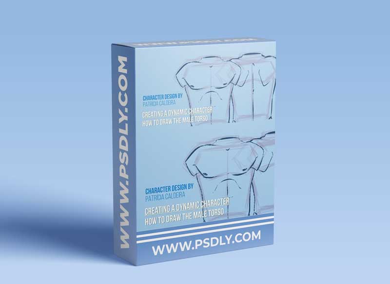 How to Draw the Male Torso: Creating a Dynamic Character