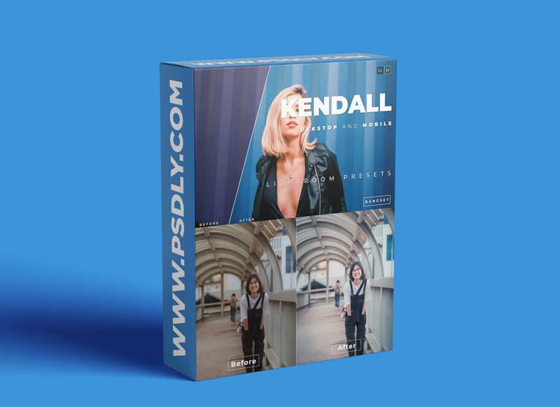 Kendall Desktop and Mobile Lightroom Preset