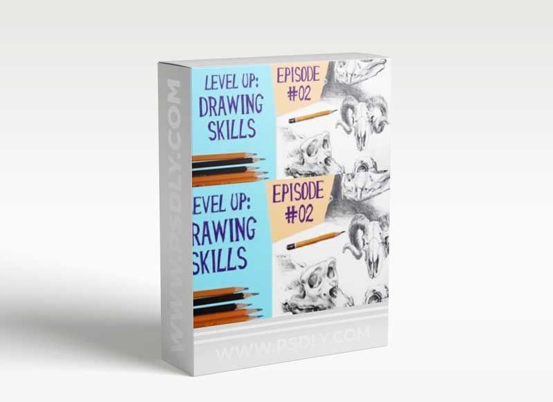 Level Up Your Drawing Step by Step