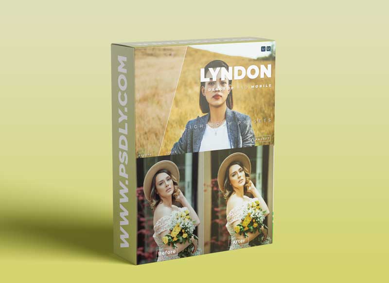 Lyndon Desktop and Mobile Lightroom Preset