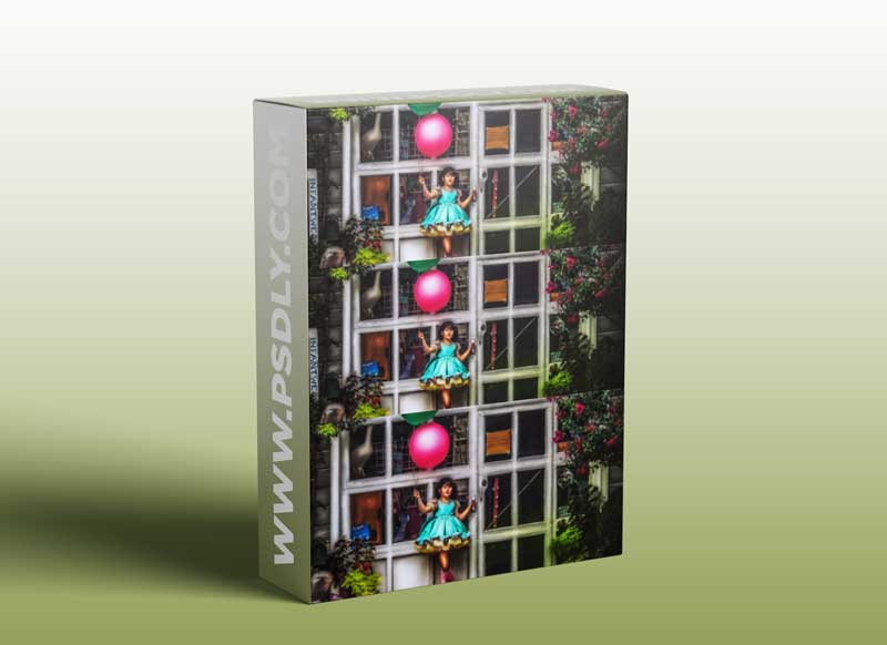 Meg Bitton Live - Colorful Illustrated Art Technique