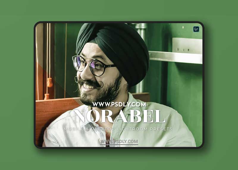 Norabel Mobile and Desktop Lightroom Presets