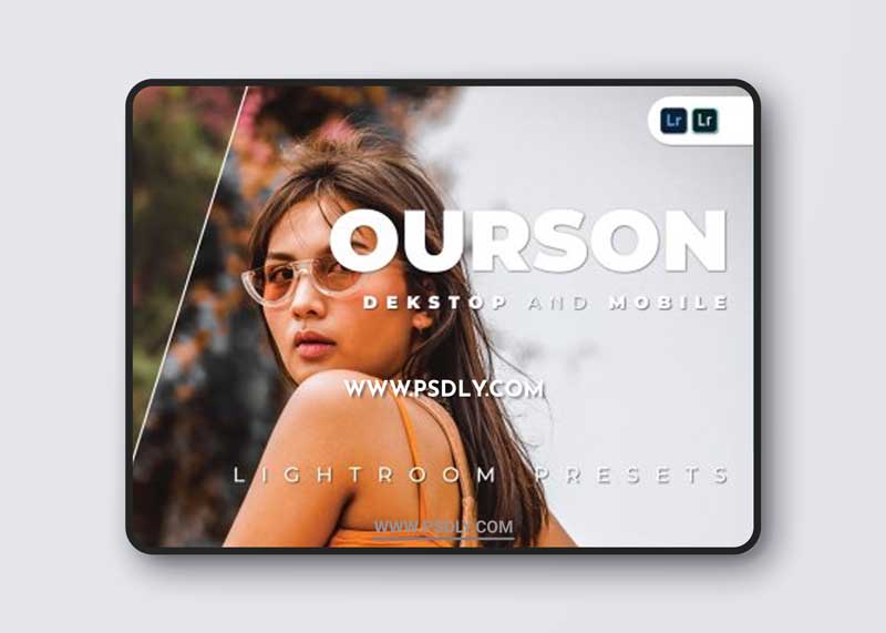 Ourson Desktop and Mobile Lightroom Preset