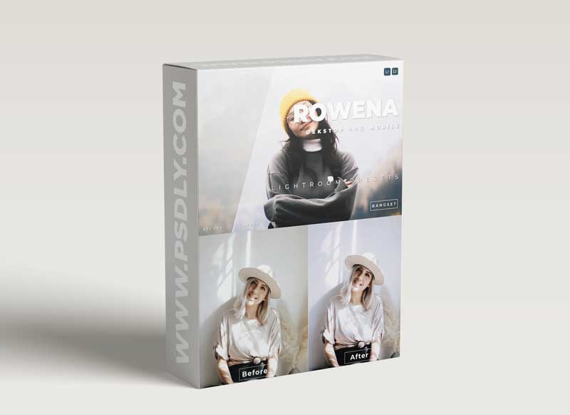 Rowena Desktop and Mobile Lightroom Preset