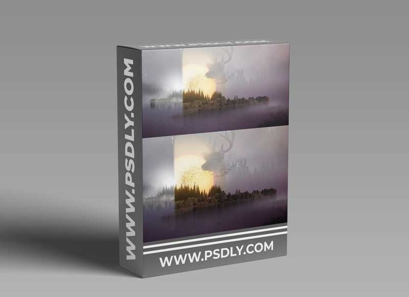 Visual Design Lab - Division05