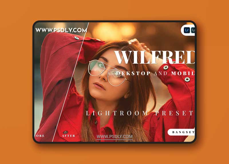 Wilfred Desktop and Mobile Lightroom Preset