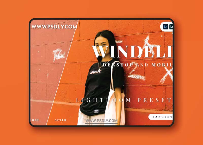 Windell Desktop and Mobile Lightroom Preset