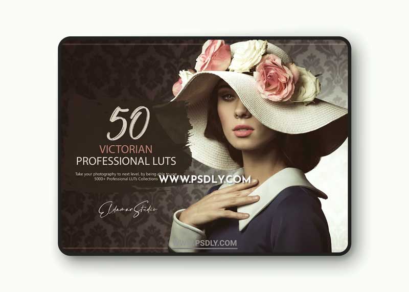 50 Victorian LUTs and Presets Pack