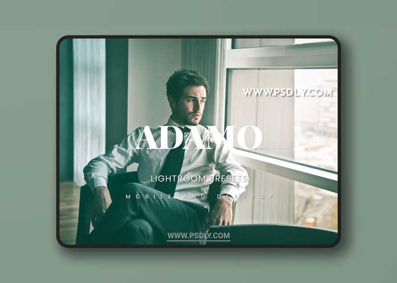 Adamo Lightroom Presets Dekstop and Mobile