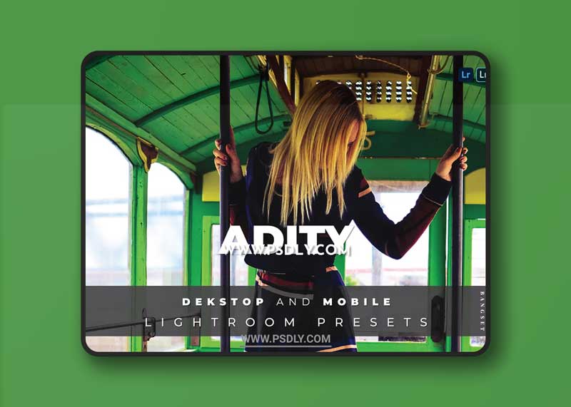 Adity Desktop and Mobile Lightroom Preset