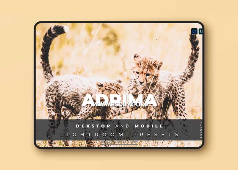 Adrima Desktop and Mobile Lightroom Preset