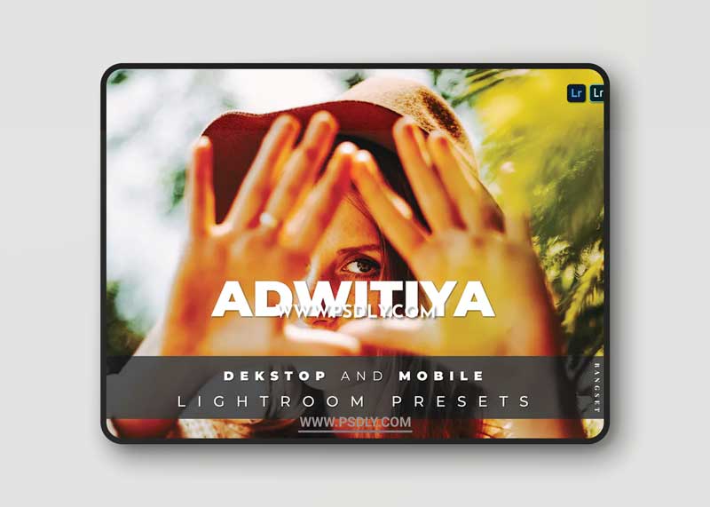 Adwitiya Desktop and Mobile Lightroom Preset
