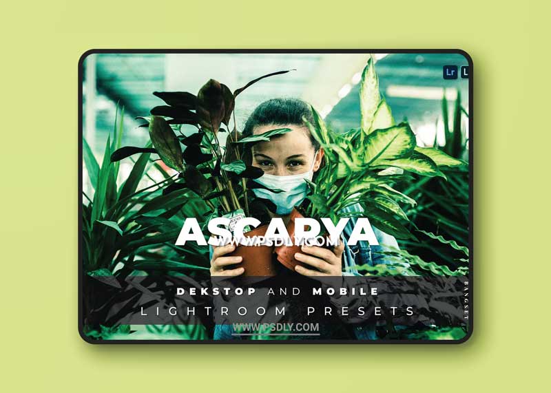 Ascarya Desktop and Mobile Lightroom Preset