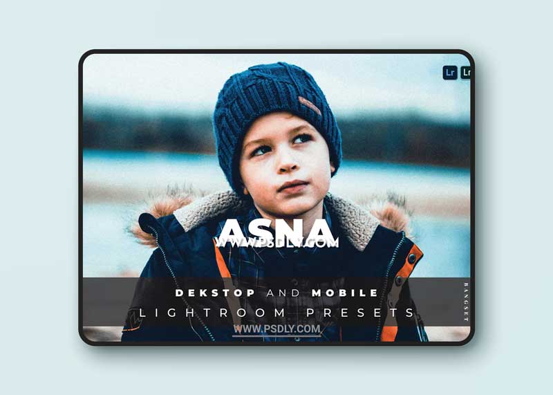 Asna Desktop and Mobile Lightroom Preset