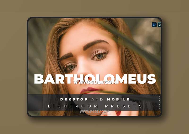 Bartholomeus Desktop and Mobile Lightroom Preset