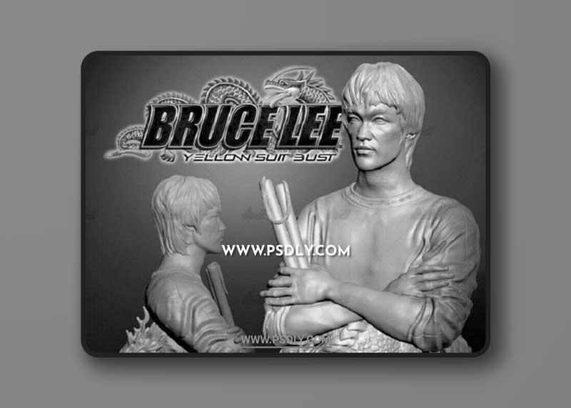 Bruce Lee Yellow Suit Bust – 3D Print Model