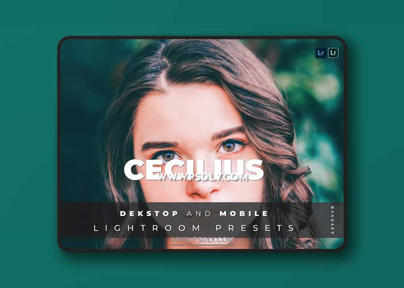 Cecilius Desktop and Mobile Lightroom Preset
