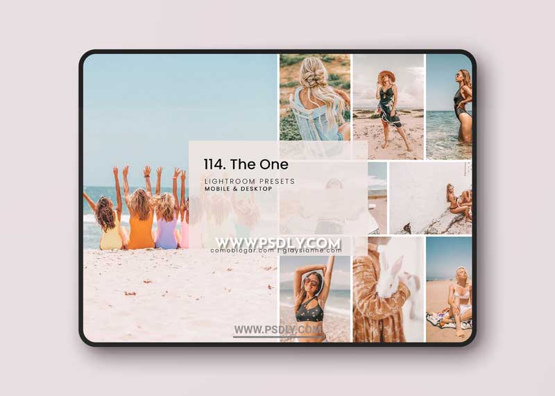 CreativeMarket - 114. The One 6270386